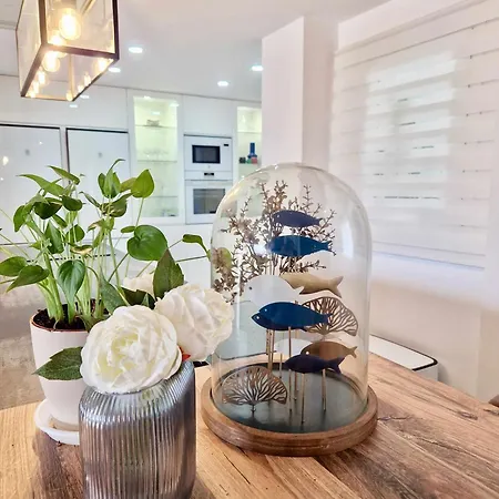 Apartamento Sr Luxury Penthouse